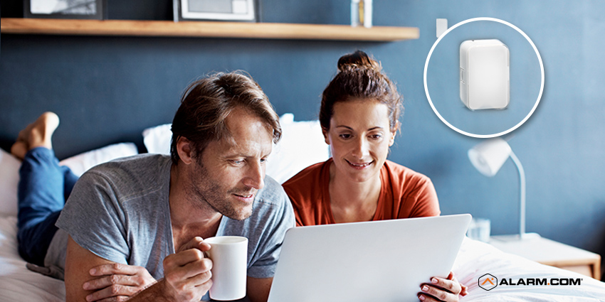 holiday guests 1.jpg